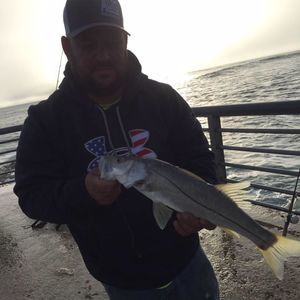 Meet your Posher, Stephen